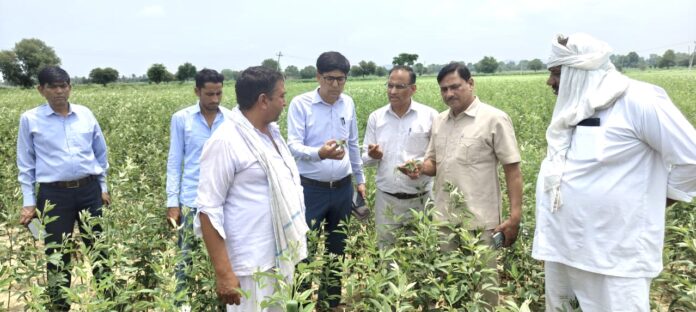 Infestation of red hairy caterpillar in Kharif crops