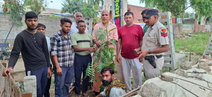 Positive efforts of every person are necessary to make the environment clean: Triveni Baba