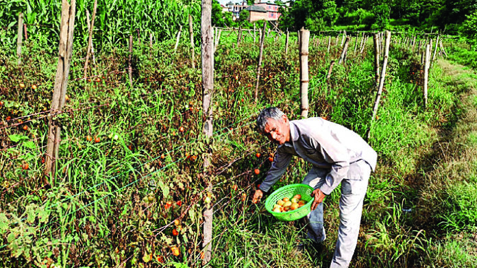 बेरोजगार युवाओं के लिए मिसाल कायम कर रहे सेवानिवृत्त शिक्षक