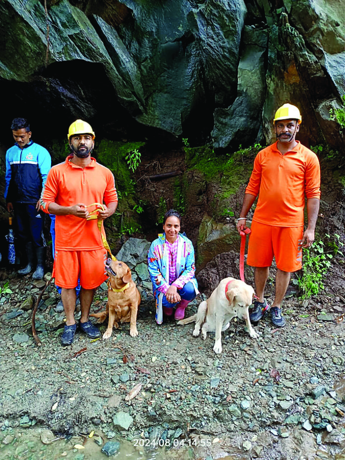 तेरंग में लापता लोगों की खोज के लिए लगाए गए स्निफर डॉग