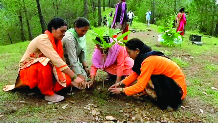 जागरूक बाशिंदों ने उठाया पर्यावरण को बचाने का बीड़ा