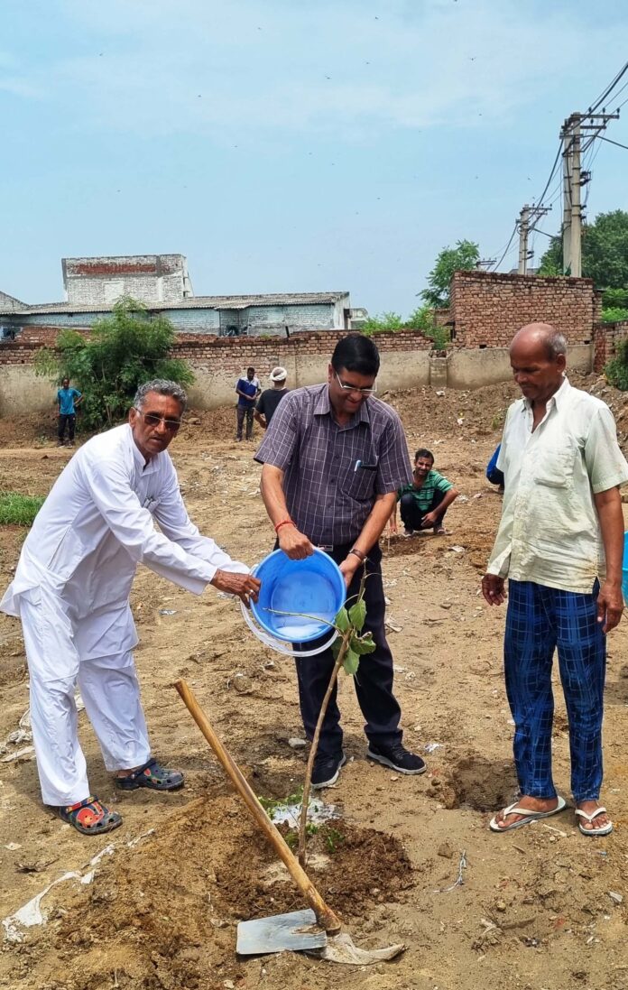 Bhiwani Environment Cleanliness Committee planted 140 saplings under the campaign 'One tree in the name of mother'