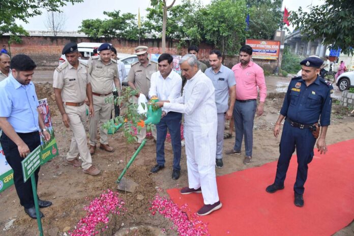 Finance Minister JP Dalal planted Neem sapling in the name of one tree campaign in Gurugram.