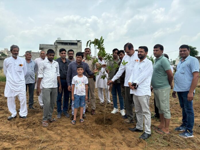 SDM started tree plantation campaign