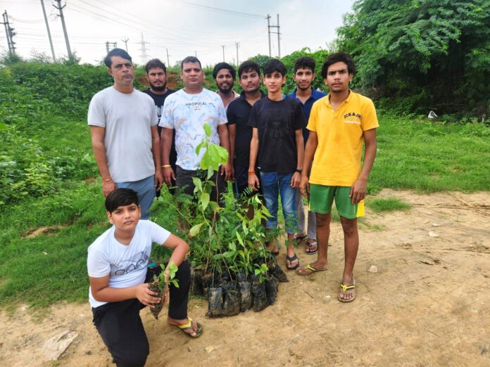 The village service committee set a target of planting two thousand saplings