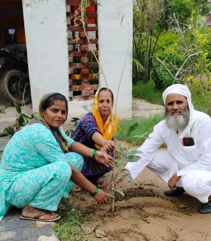 Planted trees in the school, tied rakhi under the campaign 'One Rakhi in the name of a tree'