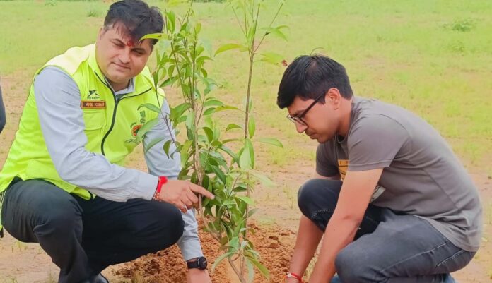 Monsoon tree plantation festival was organized