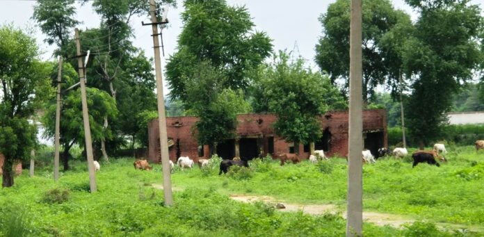 Electricity house and residential colony turned into junk warehouse