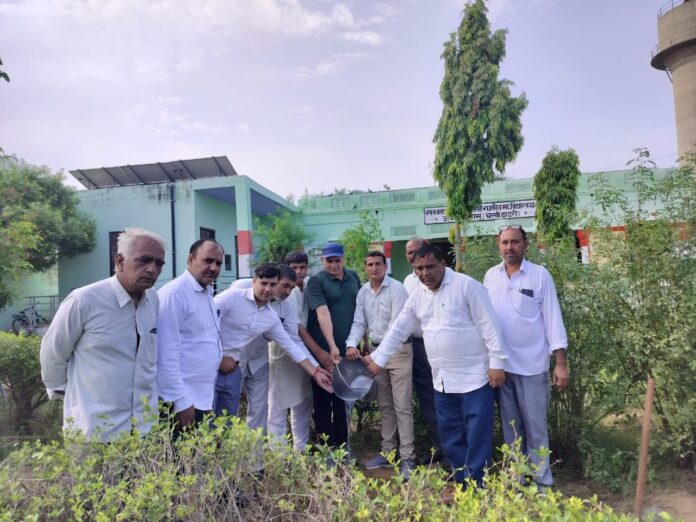 Plantation campaign conducted in Jagrambas School