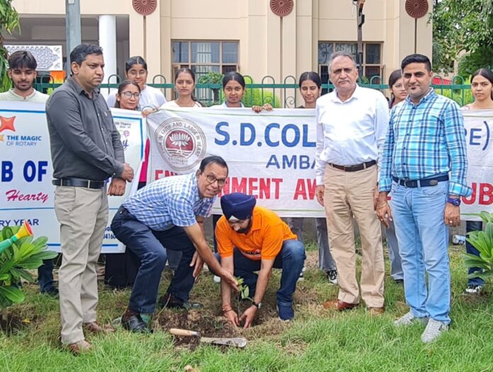 Tree plantation campaign organized in SD College