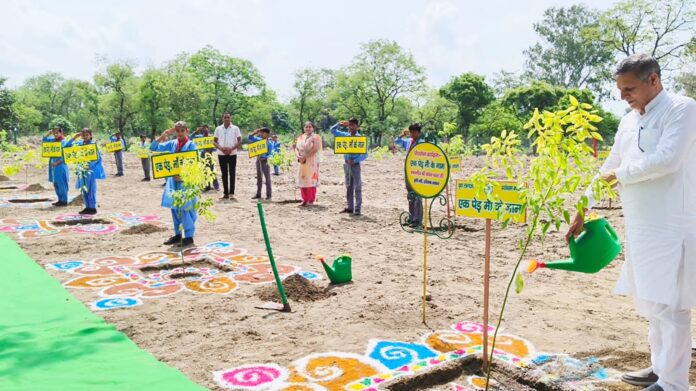 Agriculture Minister Kanwar Pal planted saplings in Herbal Park Chuharpur Kalan