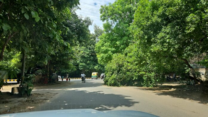 Tree fallen due to strong storm is causing trouble to common people