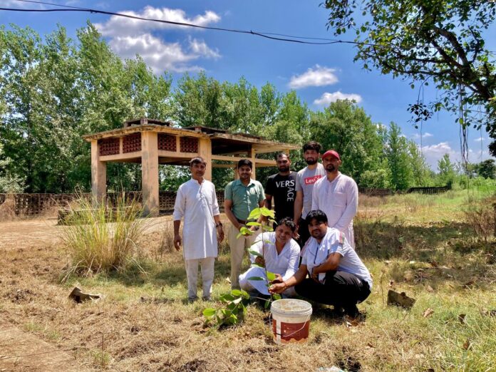 Tree plantation program organized by Divya Jyoti Jagrati Sansthan