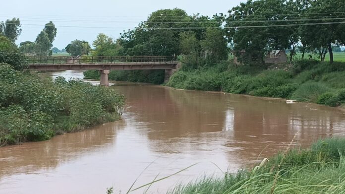 Due to rain in the hills, the inflow of water in the Ghaggar river increased