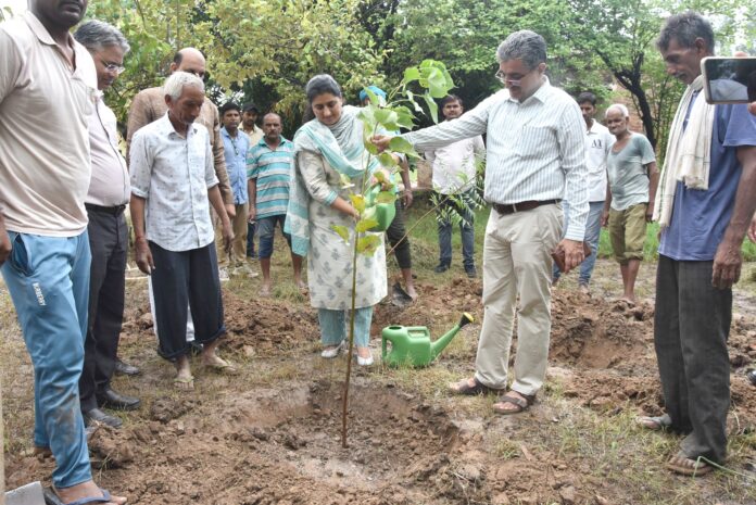 Deputy Commissioner Mandeep Kaur planted Triveni in village Dariyapur