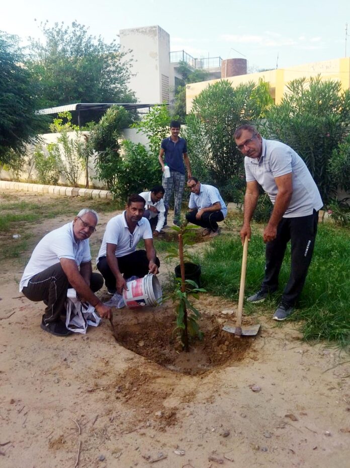 Green Mission Fatehabad Campaign, team gave message of cleanliness along with plantation