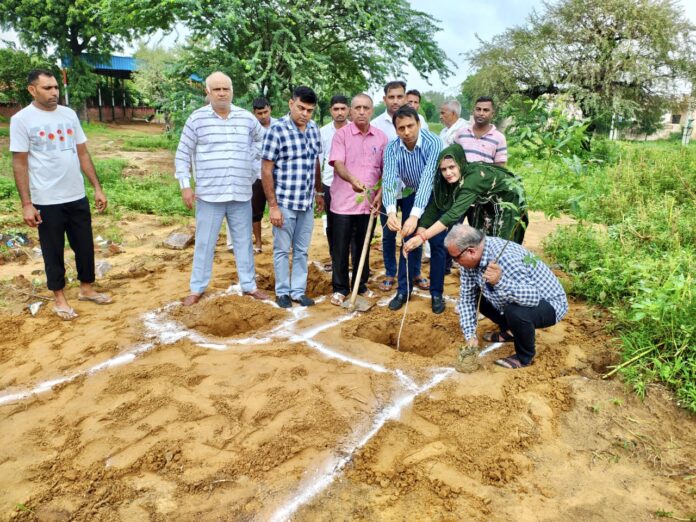 Plantation was done under the campaign 'One tree in the name of mother'