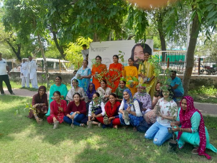 Divya Jyoti Jagrati Sansthan planted trees in the parks of Hansi