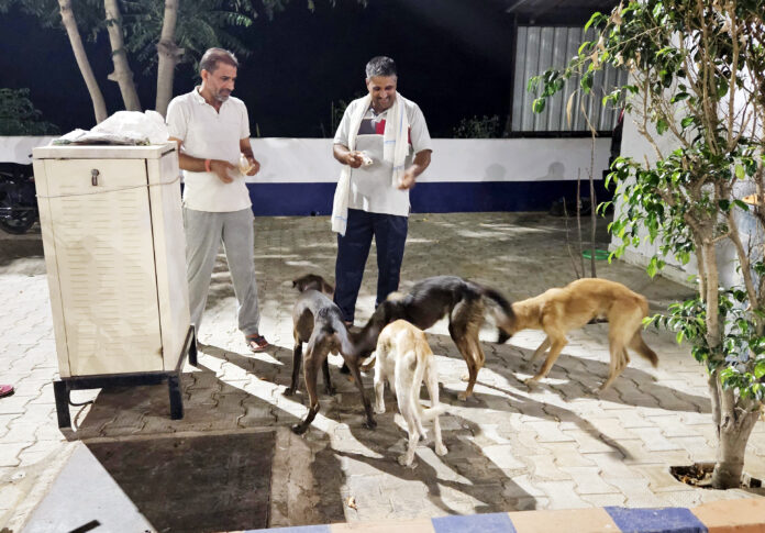 Jag Mahendra Kaswan is no less than an angel for stray animals