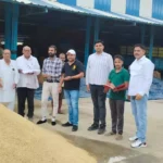 Government purchase of paddy