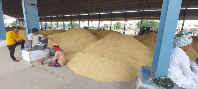 Rice millers' strike increased the problems of farmers