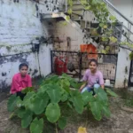 Students created an organic garden, a step towards a healthy future