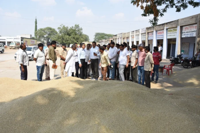 DC. inspected grain market jui and took stock of millet procurement work