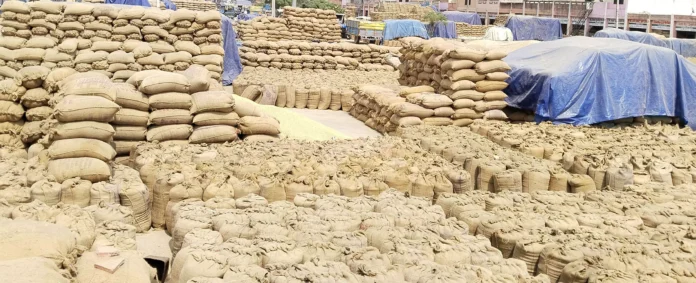 Farmers are facing problem in unloading paddy due to piles of paddy in the market