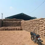 Farmers are worried due to non-purchase of paddy by the government