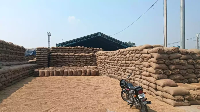 Farmers are worried due to non-purchase of paddy by the government