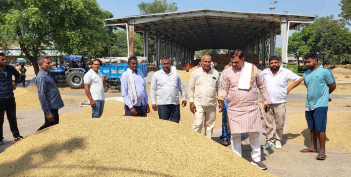 Negligence in paddy procurement will not be tolerated Pt. Tekchand Sharma