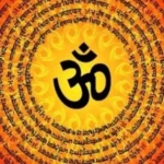 Om Anand Om Fearlessness Organization Anand