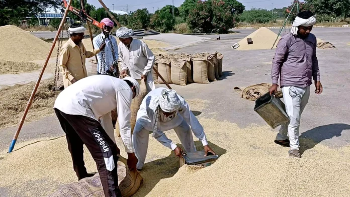 425 lakhs of PR rice reached the farmers' account