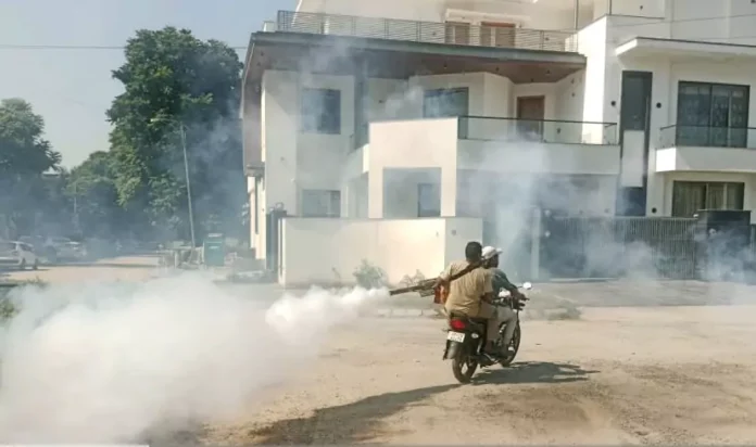 Second phase started, corporation got fogging done in ward 1 and 12