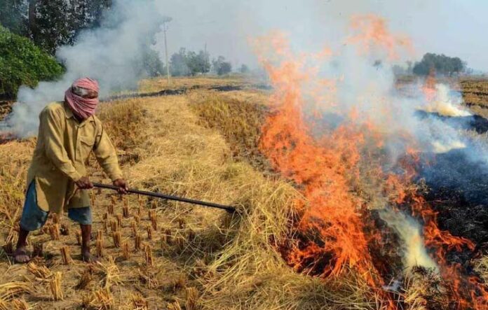 हिसार के उकलाना में पराली जलाने वाले किसान पर केस दर्ज