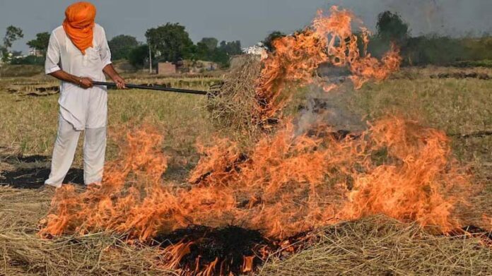 पराली जलाने वाले किसानों को गिरफ्तार करने के आदेश