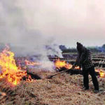 Stubble Burning in Punjab : प्रदेश में जल रहे धान के अवशेष, बिगड़ रही हवा की हालत