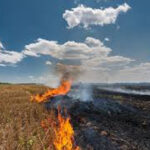 Stubble Burning in Punjab : पराली जलाने वाले किसानों पर सरकार सख्त