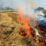 Stubble Burning in Punjab : पिछले वर्षों से कम जलाई किसानों ने पराली