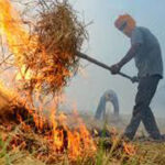 Stubble Burning in Punjab : प्रदेश में पिछले साल की तुलना में इस बार कम जली पराली : कृषि मंत्री