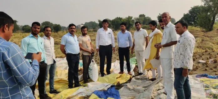 Teams from Agriculture and Farmers Welfare Department, Haryana Panchkula reached the district, report on production will be ready.