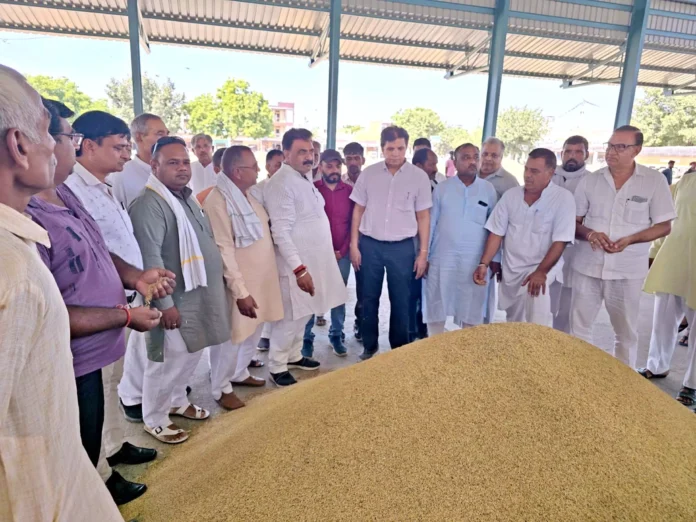 Government is in action mode regarding paddy procurement