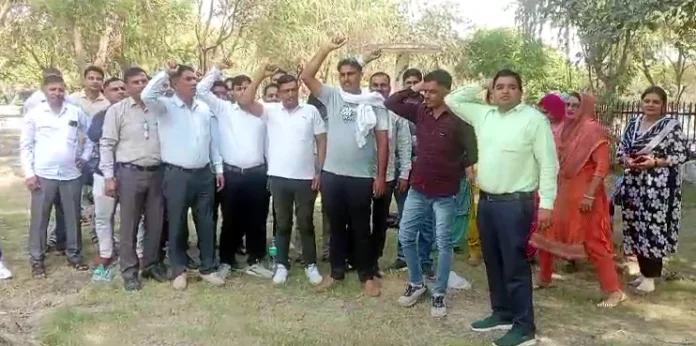 Contract employees of Bhiwani Central Cooperative Bank expressed their anger by raising slogans