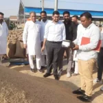 Tehsildar inspected the grain market, instructed to speed up the lifting