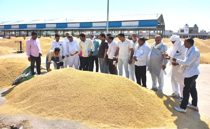 Government purchase of PR variety of paddy started in Alewa grain market