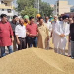 BJP leaders reached the grain market and inspected the crop sale work and gave instructions