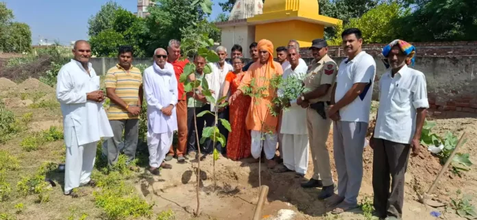 The imagination of human life is incomplete without trees: Former Principal Dr. Mukta Madan