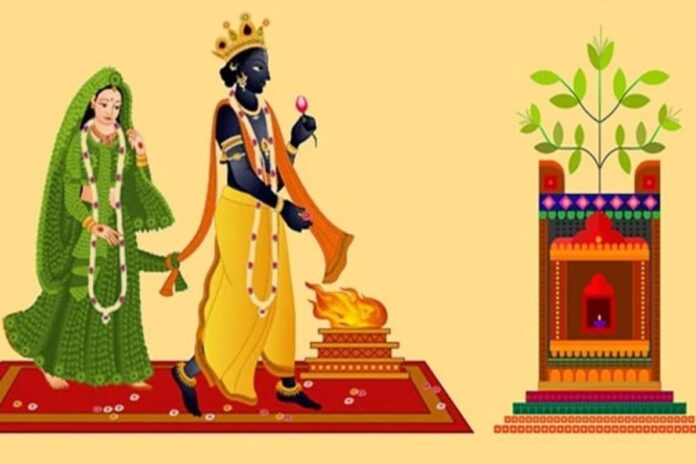 Dev Uthani Ekadashi Status Tulsi Vivah Status: देव उठनी और तुलसी विवाह पर लगाएं ये स्‍टेटस