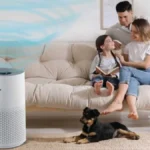 Get top air purifiers under Rs 10,000 from Amazon