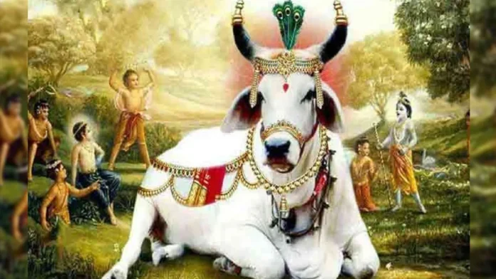 Gopashtami Ki Shubhkamnaye: गोपाष्टमी पर हिंदी में शुभकामनाएं और बधाई संदेश